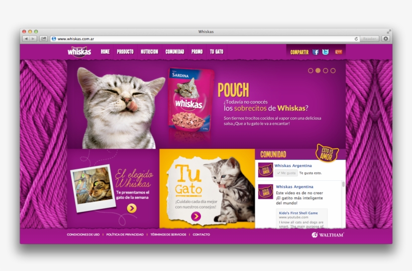 [media Space] - Cat, transparent png download