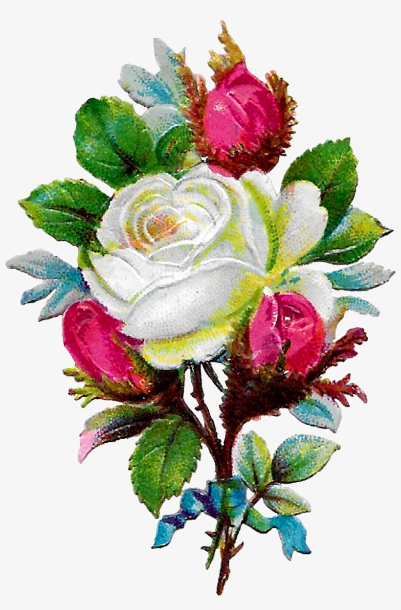 Digital White Rose Clip Art Download Png - Rose, transparent png download