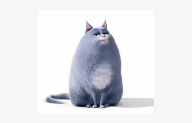 The Secret Life Of Pets - Life Secret Of Pets Png, transparent png download