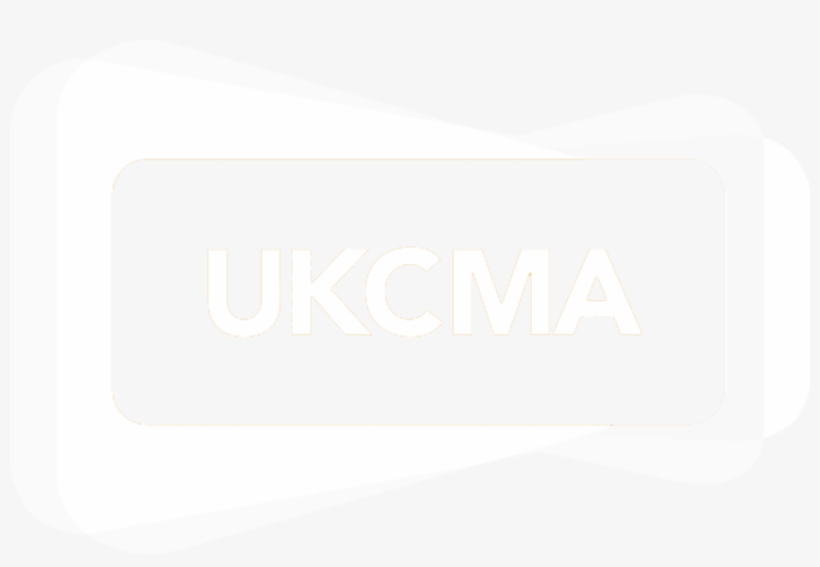 Headline Security Ltd Currently Holds Sia Approved - Anderson Silva E Minotauro, transparent png download