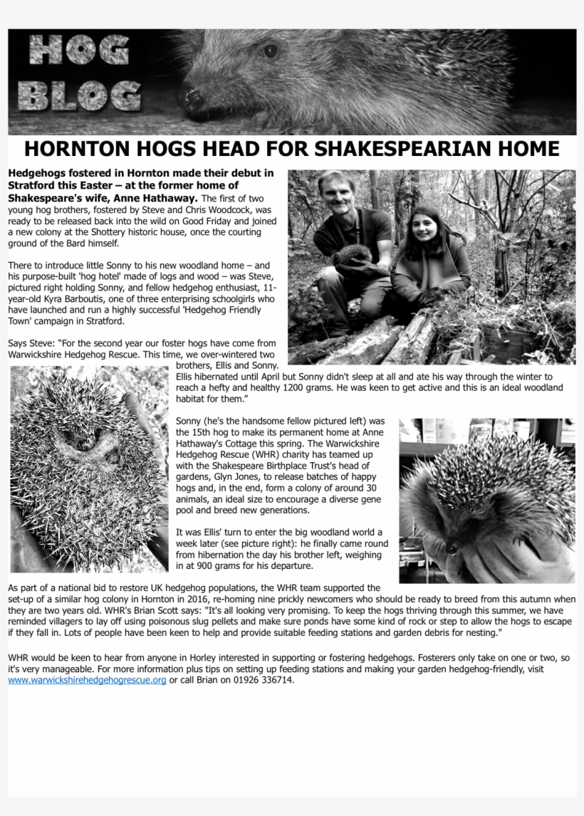 Fancy Fostering A Hedgehog - Monochrome, transparent png download