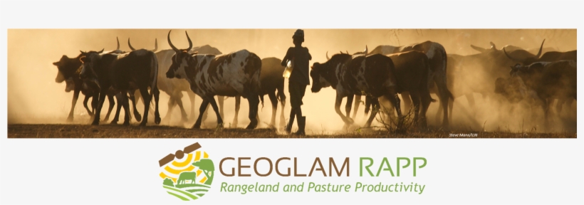 Head Rapp Newsletter, transparent png download