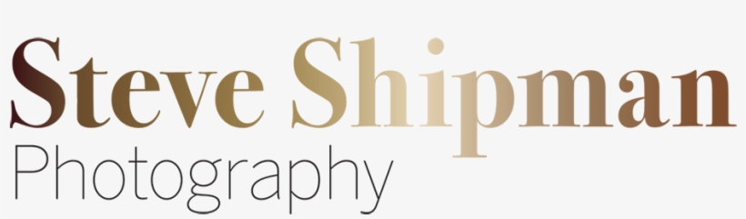 Steve Shipman - Save The Date, transparent png download