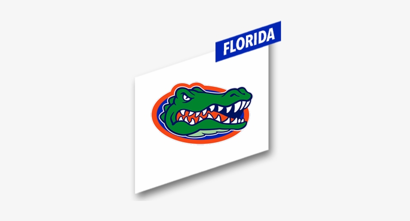 2 - Lsu Vs Florida, transparent png download