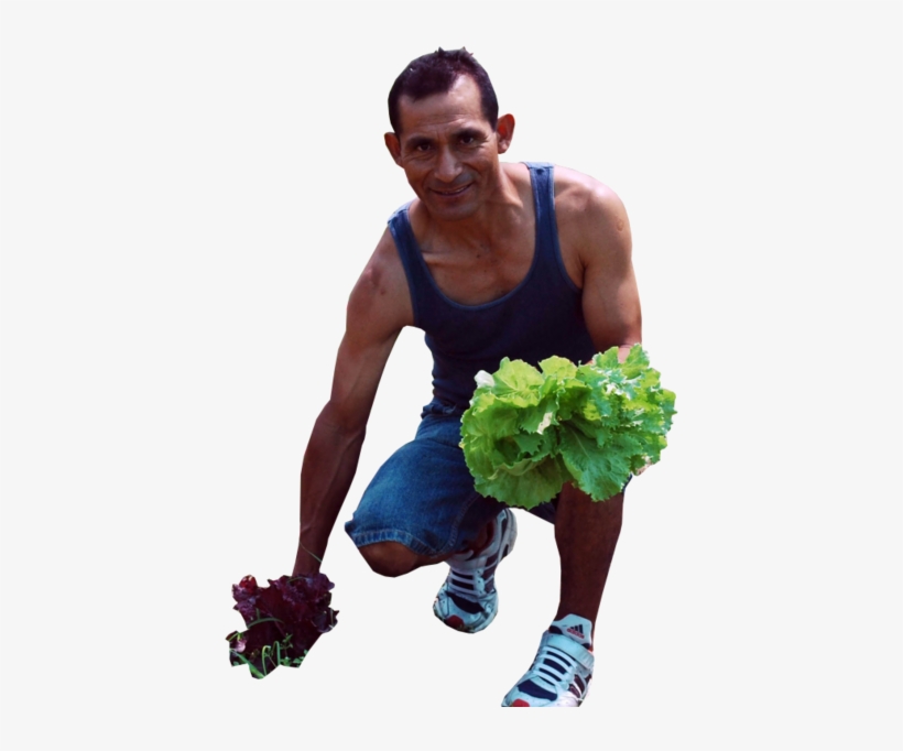 People Cutout, Cut Out People, People Png, Real People, - People Collage Architecture Png, transparent png download