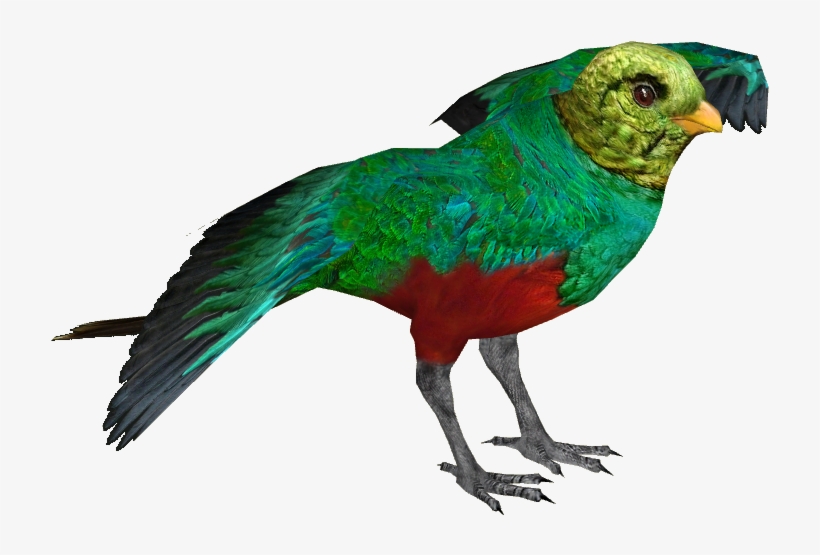 Golden-headed Quetzal M - Wiki, transparent png download