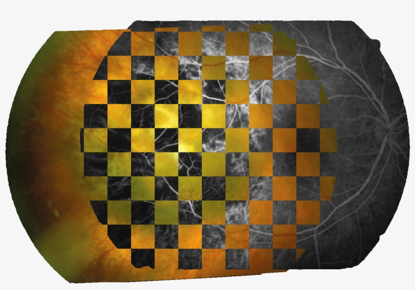 Checkerboard Image - Vans Sk8 Hi Checkerboard 2.0, transparent png download