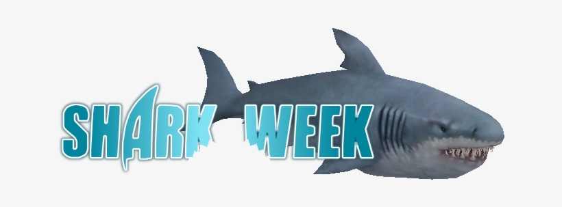 Left Shark Exchange[/font] - Great White Shark, transparent png download