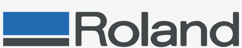 Roland Logo Png Transparent - Roland Blues Cube Artist Guitar Amplifier, transparent png download