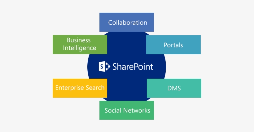 Sharepoint's - Symmetry, transparent png download