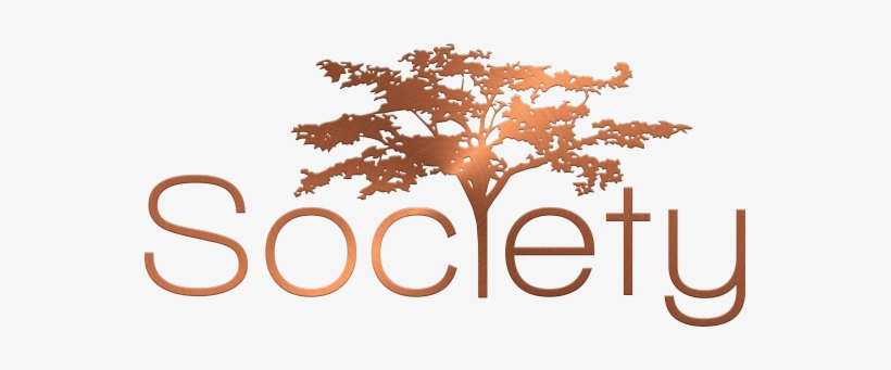 Not Only Do They Provide A Spectacular Nightlife, They - Bell Tower Ft Myers Logo, transparent png download