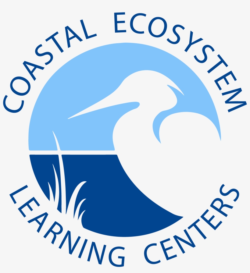 Coastal Ecosystem Learning Center Network - Ciconiiformes, transparent png download