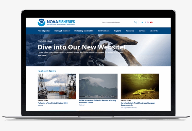 Noaa Website - Mobomo, transparent png download