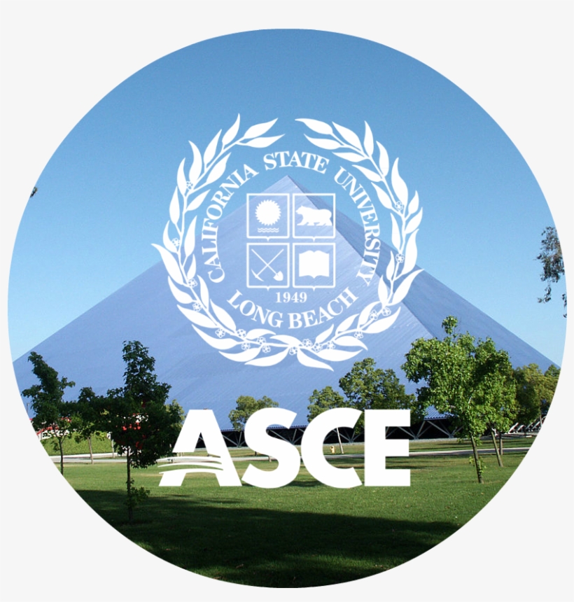 Grass, transparent png download