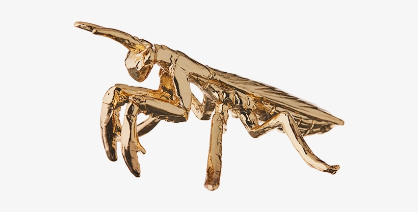 Praying Mantis Gold-plated Figurine, transparent png download