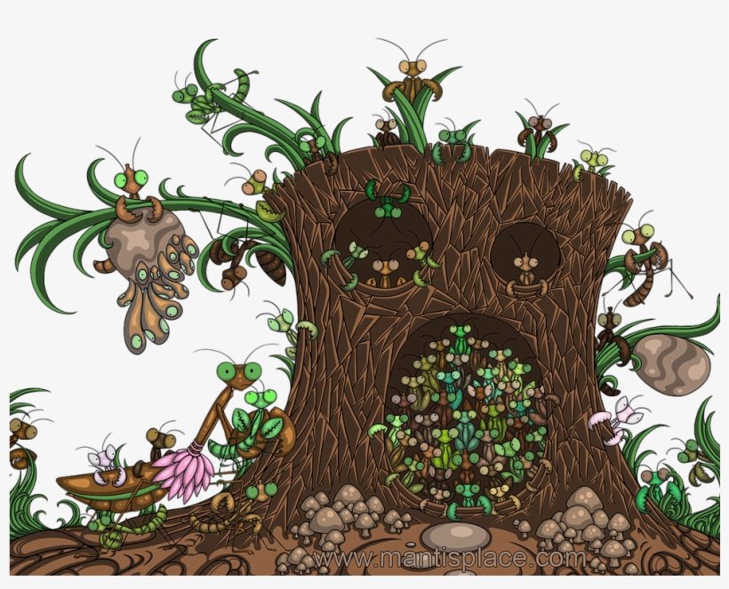 Buy Now - Pet, transparent png download