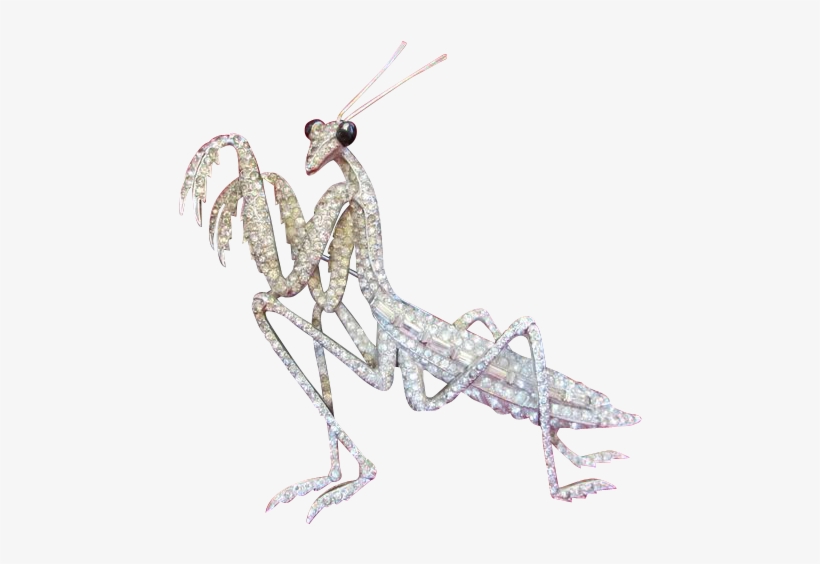 Marcel Boucher Rhinestone Praying Mantis Brooch Pin - Illustration, transparent png download