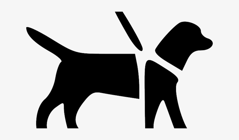 Getting A Service Dog For Fibromyalgia - International Guide Dog Day 2018, transparent png download