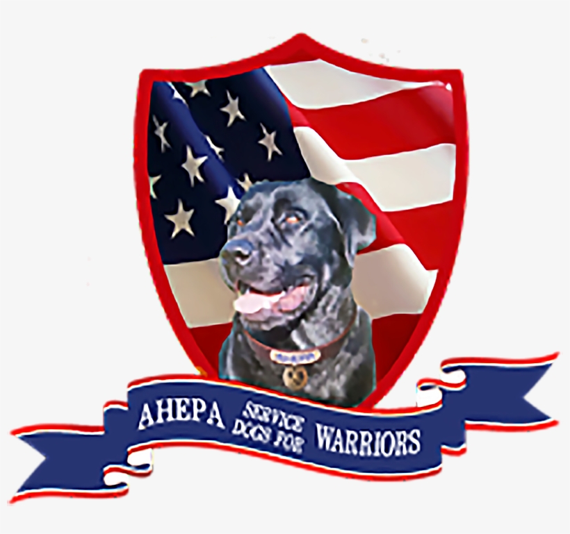 Service Dogs For Wounded Warriors Suffering From Ptsd - Ibot Ec13305-1x American Flag 3 X 5 Feet U.s. Flag, transparent png download