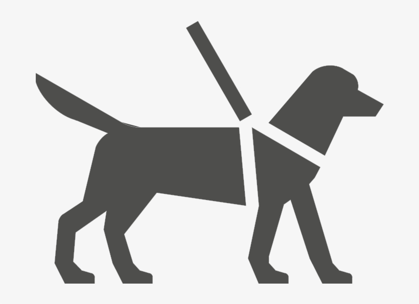 Assistance Animals - Dogs On A Lead, transparent png download
