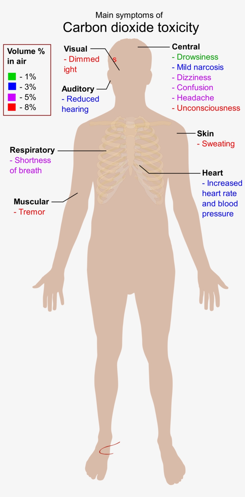 Main Symptoms Of Carbon Dioxide Toxicity Svg Clip Arts, transparent png download