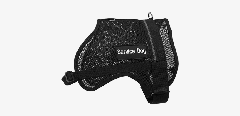 Colors Of Mesh Dog Vest Dog In Blue Service - Best Mesh Service Dog Vest, transparent png download