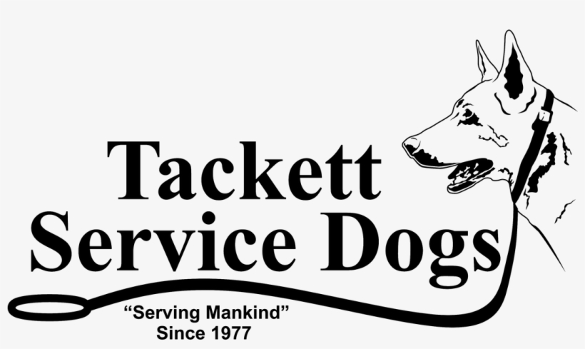 "training Dogs For Today's Families" - Skuttle Product 000-0814-097, transparent png download