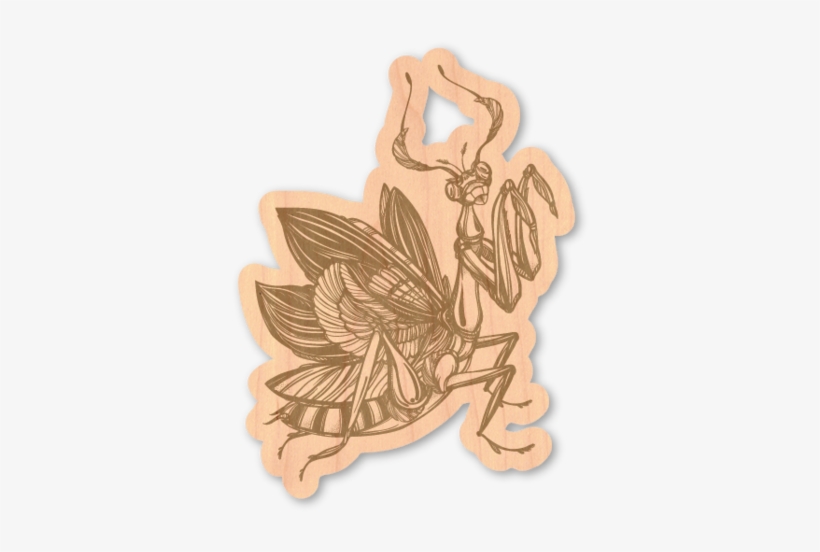 Mantis, transparent png download