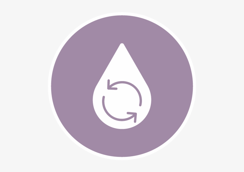 Renew Icon - Circle, transparent png download