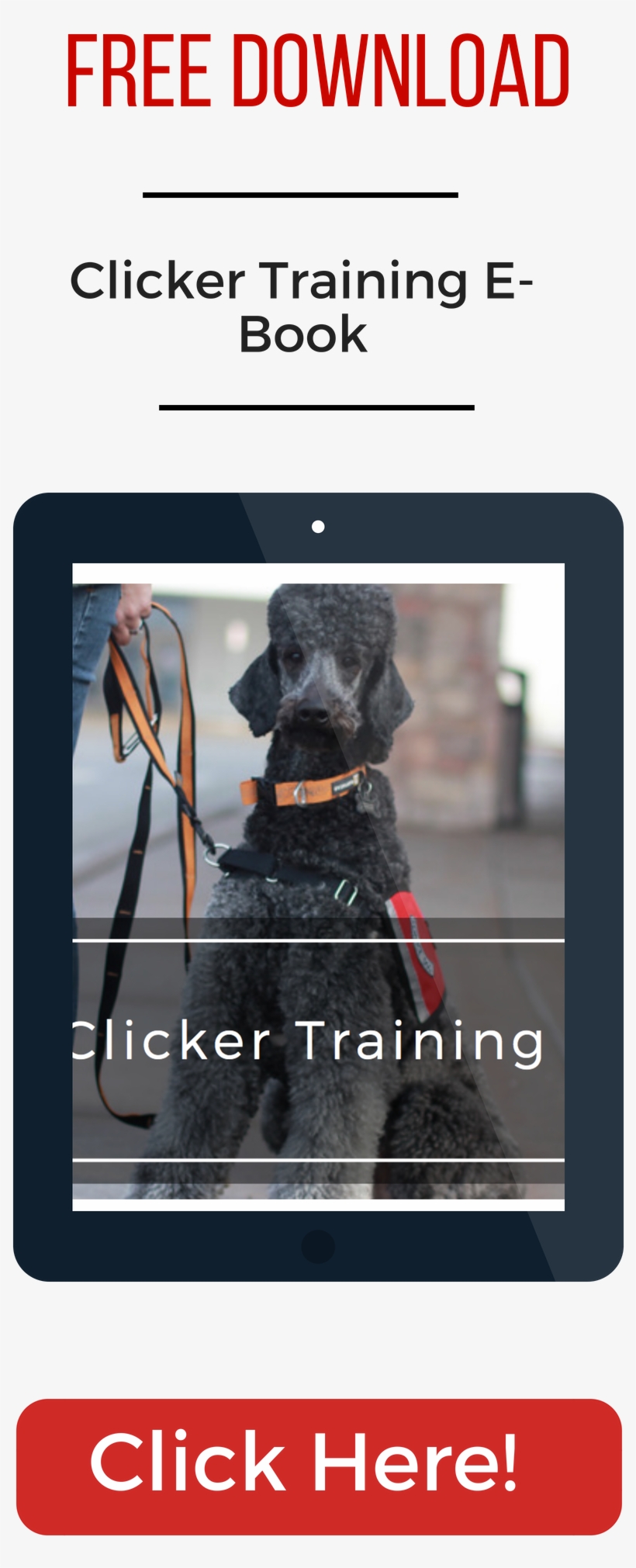 My Service Dog - Uam, transparent png download