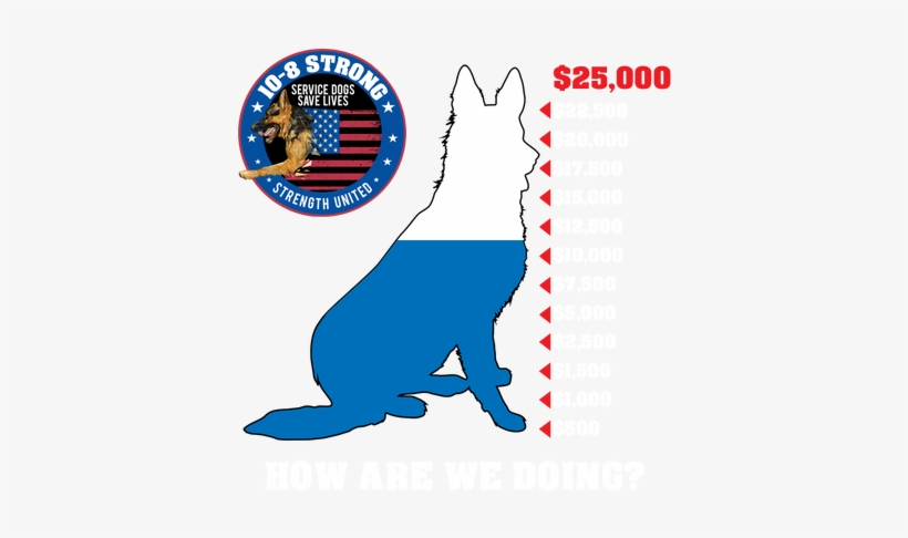 Training A Service Dog And Teaching Their Handler Properly, transparent png download