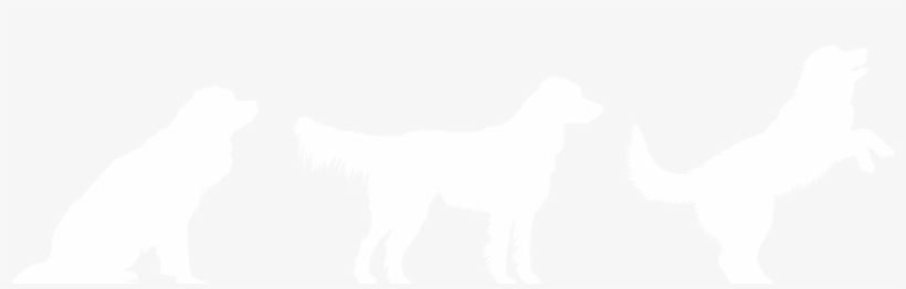 Eco Me Dog Shampoo, Lemon Citronella - 16 Fl Oz, transparent png download