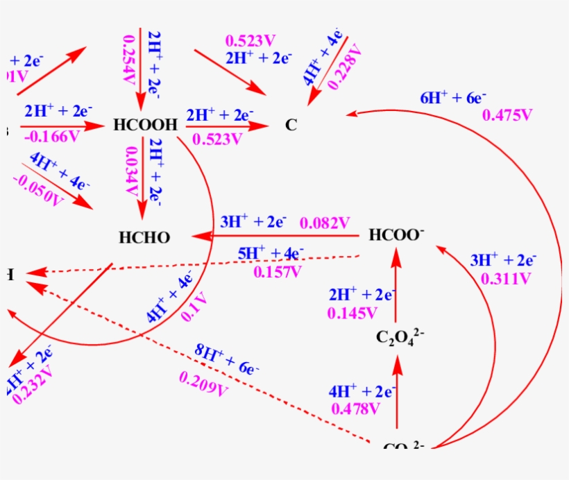 Reactions Of Carbon Dioxide In Aqueous Solution - Carbonate, transparent png download