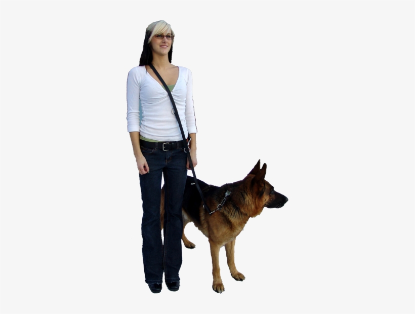 Working Service Dog - Old German Shepherd Dog, transparent png download