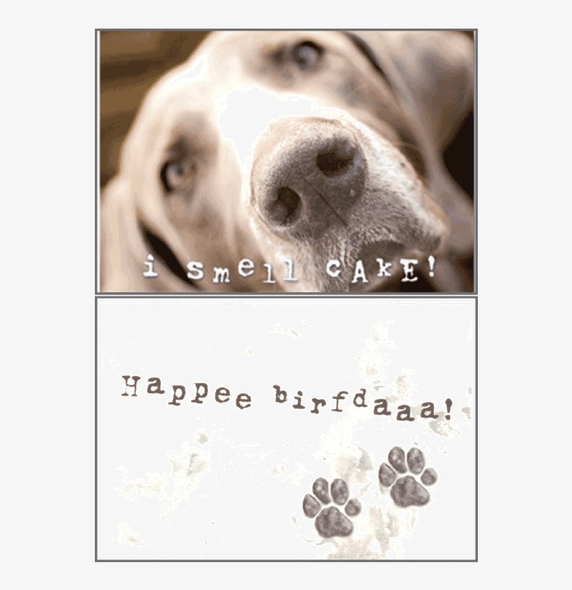 I Smell Cake - Olfaction, transparent png download