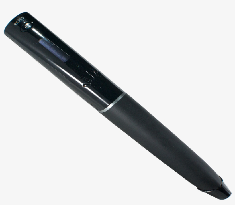 File - Livescribeecho - Conair Infiniti Pro 2 In 1 Styler, transparent png download