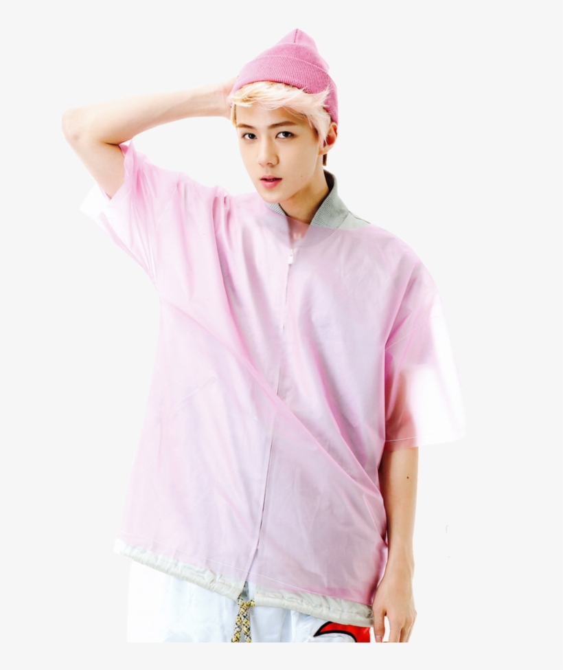 P#bang Yongguk#moon Jongup#choi Junhong#kim Himchan#jung - Sehun Pink, transparent png download