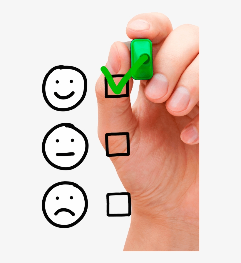 Perfil Público Qobserver - Evaluacion De Competencias En Una Carrera Del Area, transparent png download