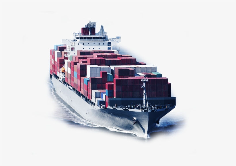 Risk Management And System Safety [book], transparent png download