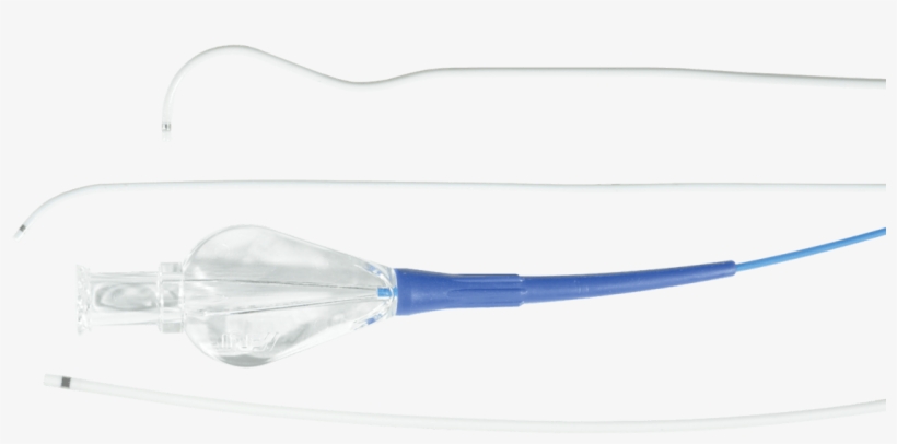 Img Class="alignnone Size Full Wp Image 29952" Src="/wp - Musical Instrument, transparent png download