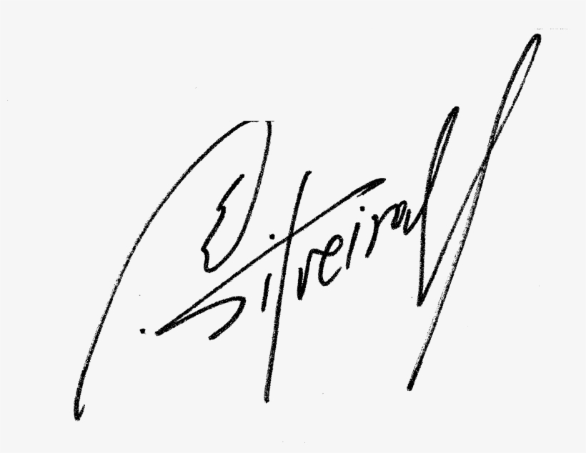 Firma De Guillermo Silveira - Firma Guillermo Png, transparent png download