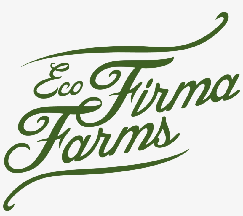 Ecofirma 2ndmark Noicon Cmyk 01 1478198460 - Fancy A Cuppa, North Yorkshire?, transparent png download