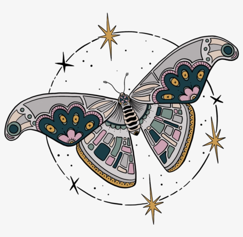 Mf Fly Solo, transparent png download