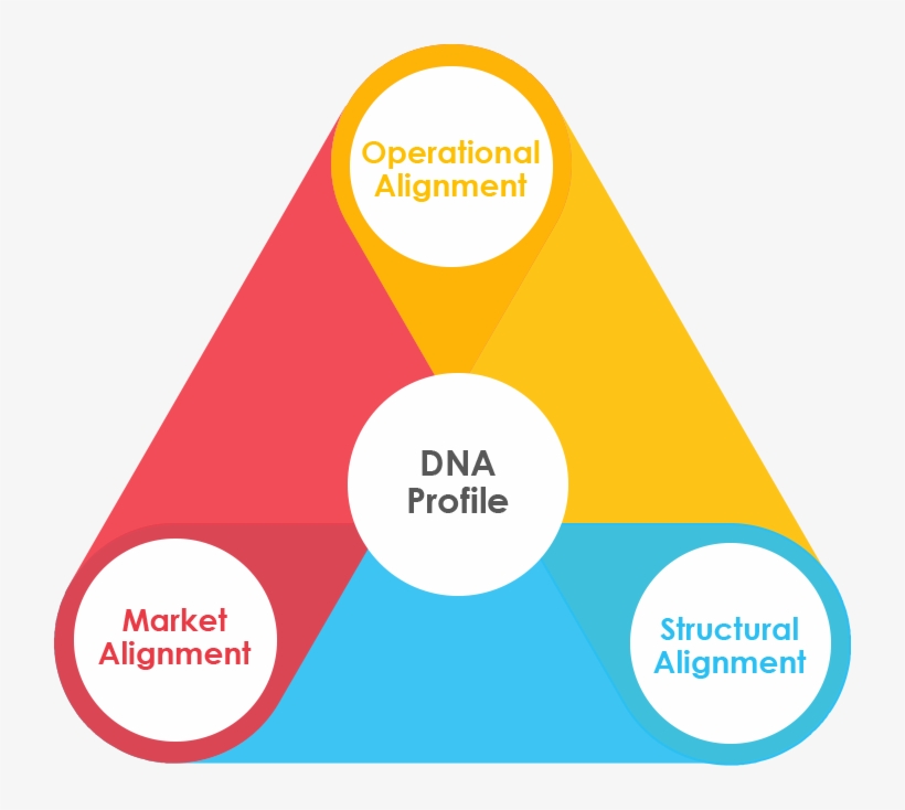 Maestro Helps You Map The Dna Profile And Alignment - Marketplanet, transparent png download