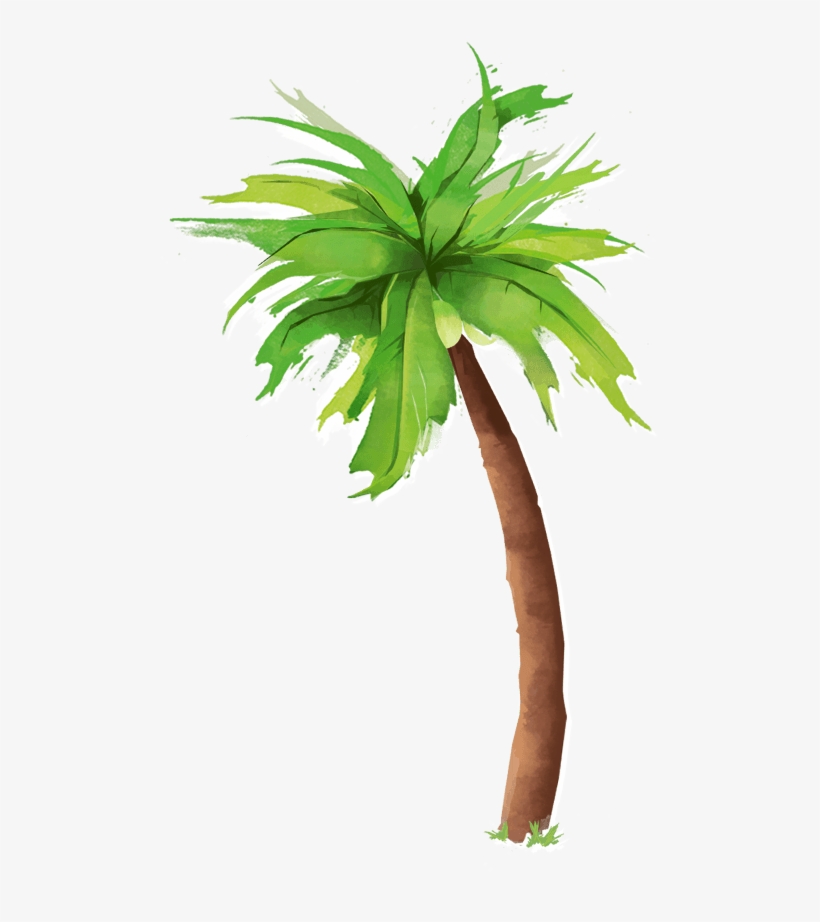 Palm Tree Over Water, Gallery Aljanh - Vita Coco, transparent png download