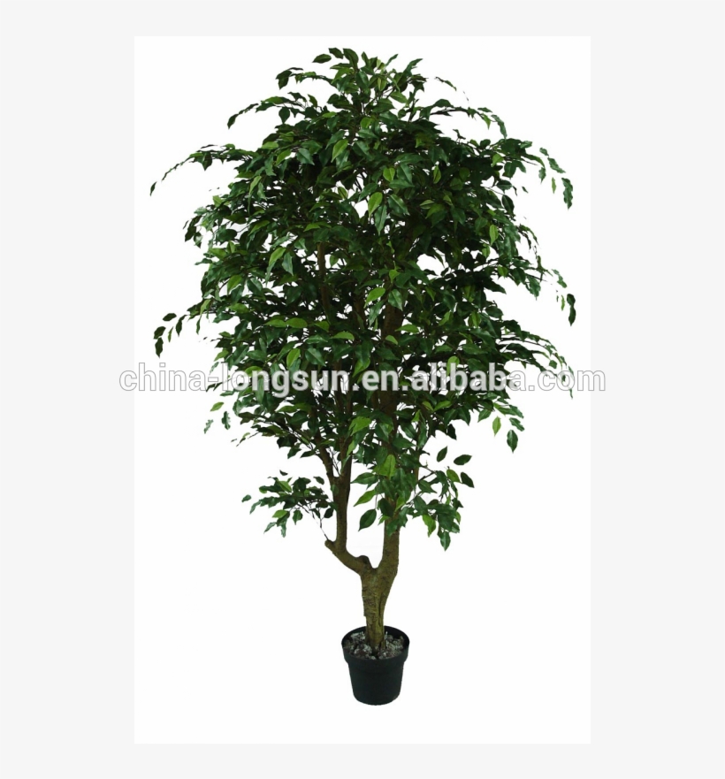 Lsd-20160308698 Hot Selling Artificial Banyan Tree - Tree, transparent png download