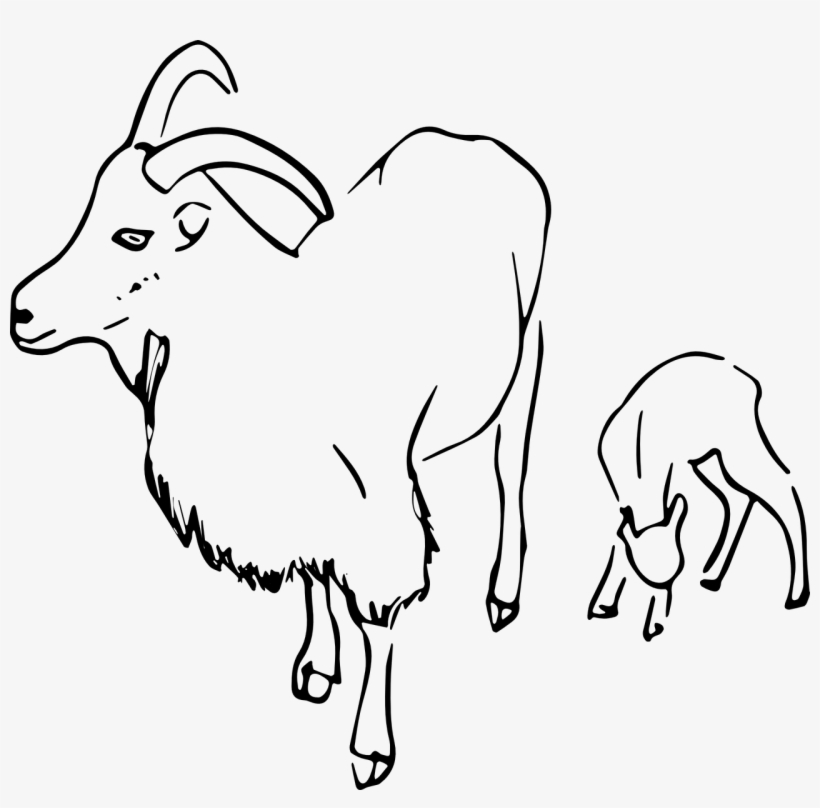 Goat,vector,image,free Vector Graphics - Clip Art, transparent png download