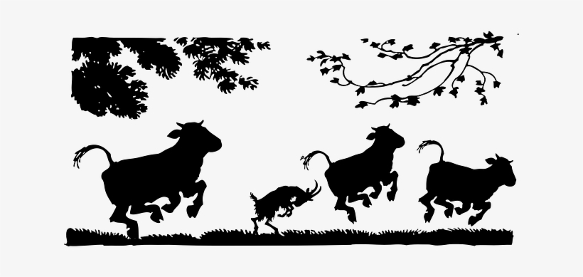 Discover The Best Source For Free Images And Videos - World Zoonoses Day 2018, transparent png download