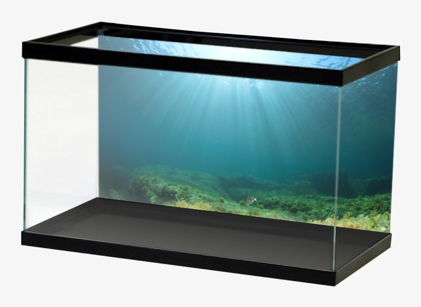 Yellow Green Open Water, transparent png download