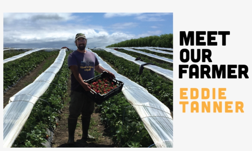 Fb Meet Our Farmer - Burger, transparent png download